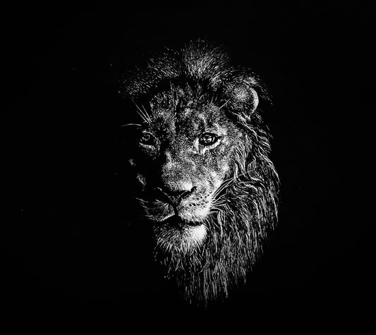 LION ~ Original art